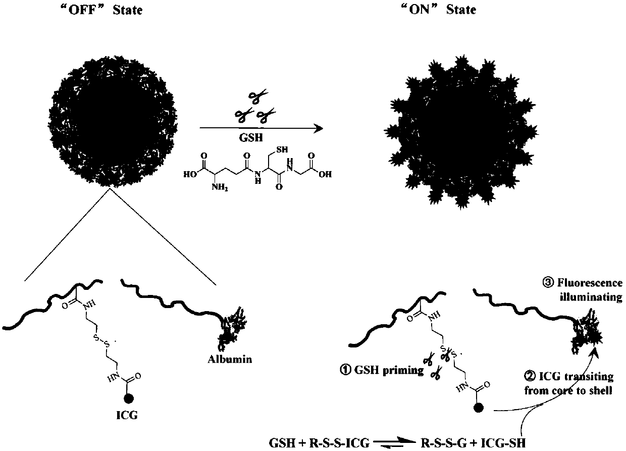 Structure, preparation and applications of reduction responsive fluorescent probe