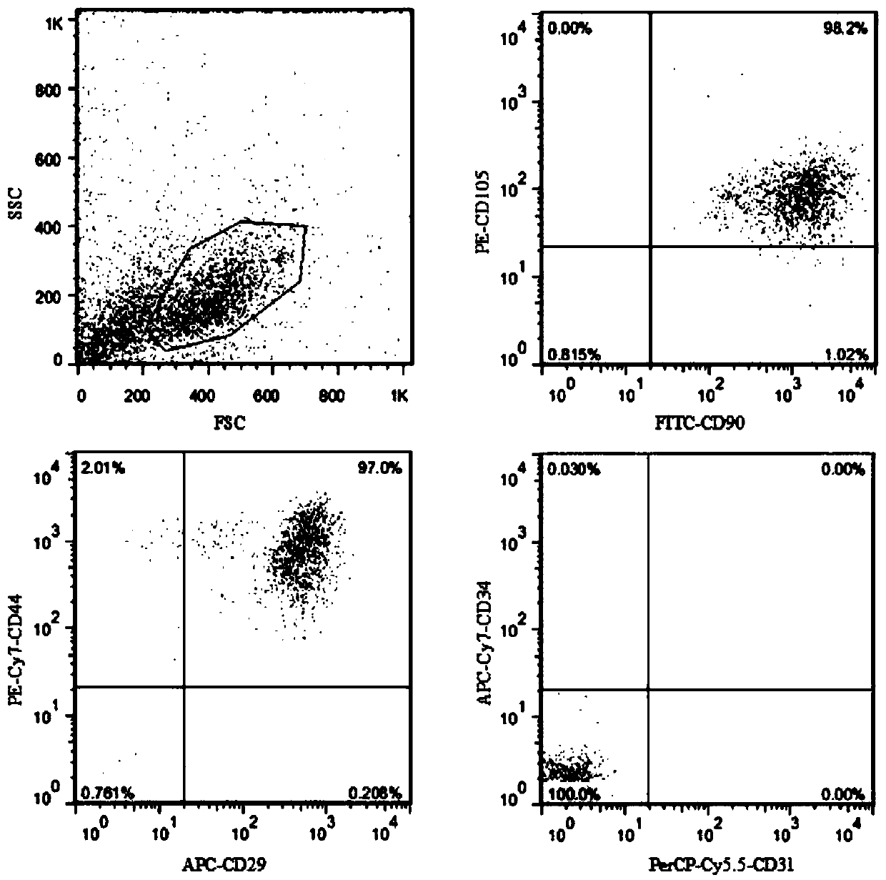 Induction culture medium and induction method for directional differentiation of human mesenchymal stem cells towards endothelial cells