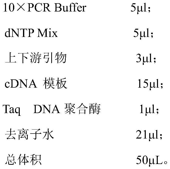 Efficient 21-hydroxylase deficiency related gene detection method