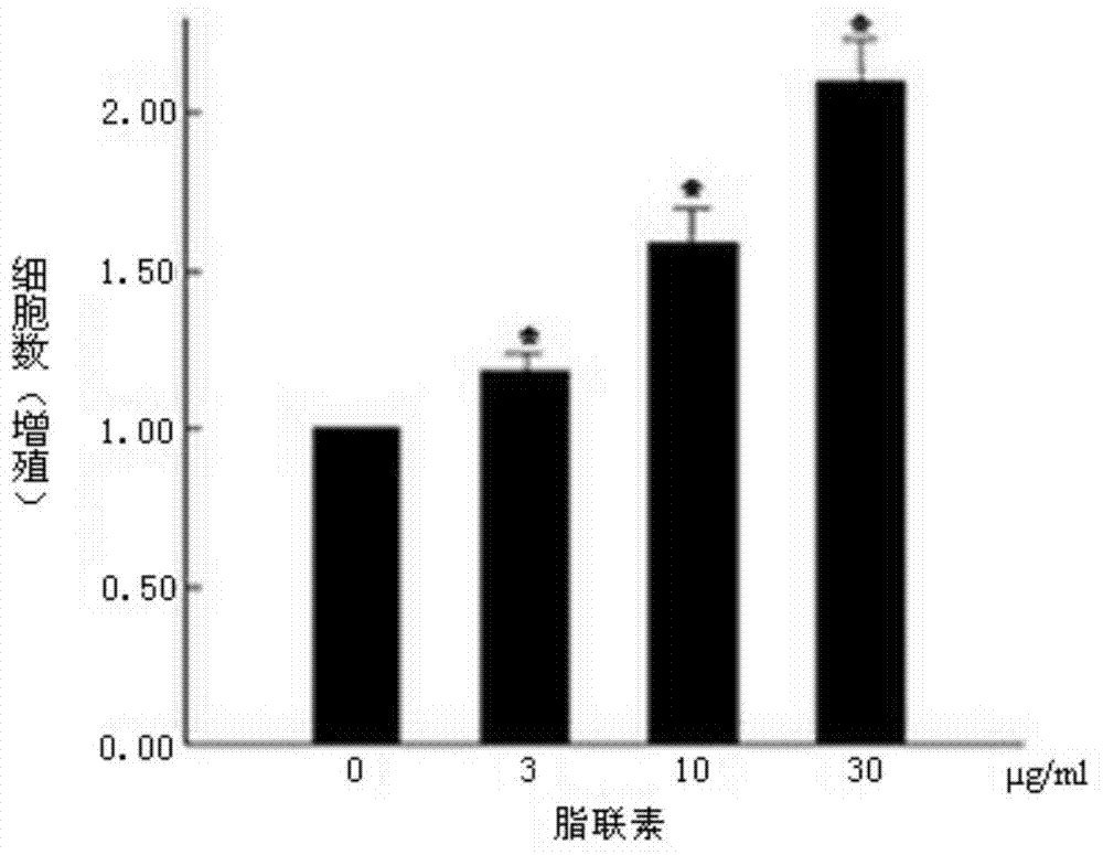 Application of adiponectin in preparing medicine for treating fracture