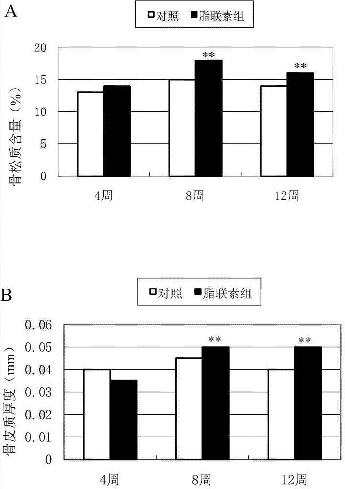 Application of adiponectin in preparing medicine for treating fracture