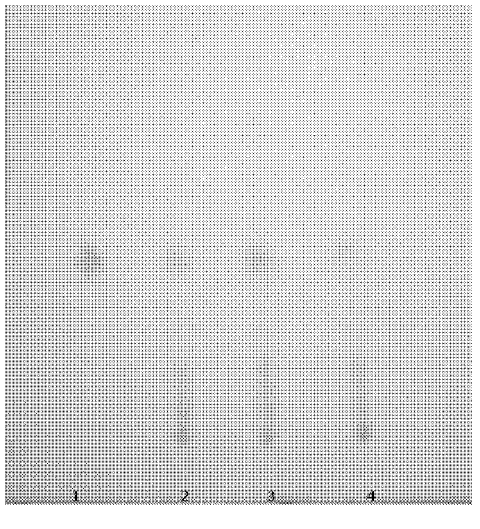 Preparation method for roxburgh rose and multi-index detection method