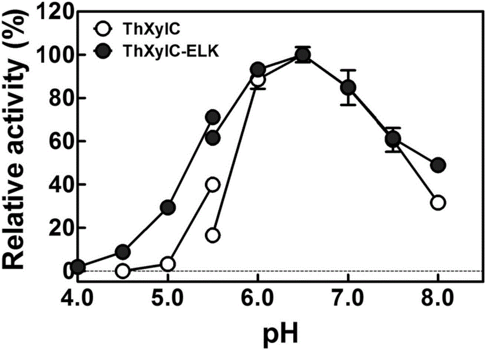 Beta-xylosidase in vivo enzyme aggregate and preparation method thereof