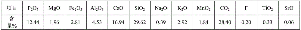 Manganese-magnesium low-grade phosphate flotation process