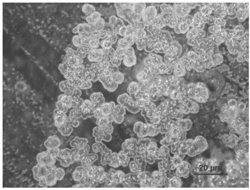 Additive capable of improving durability of steam-cured concrete, and concrete coarse aggregate treated thereby