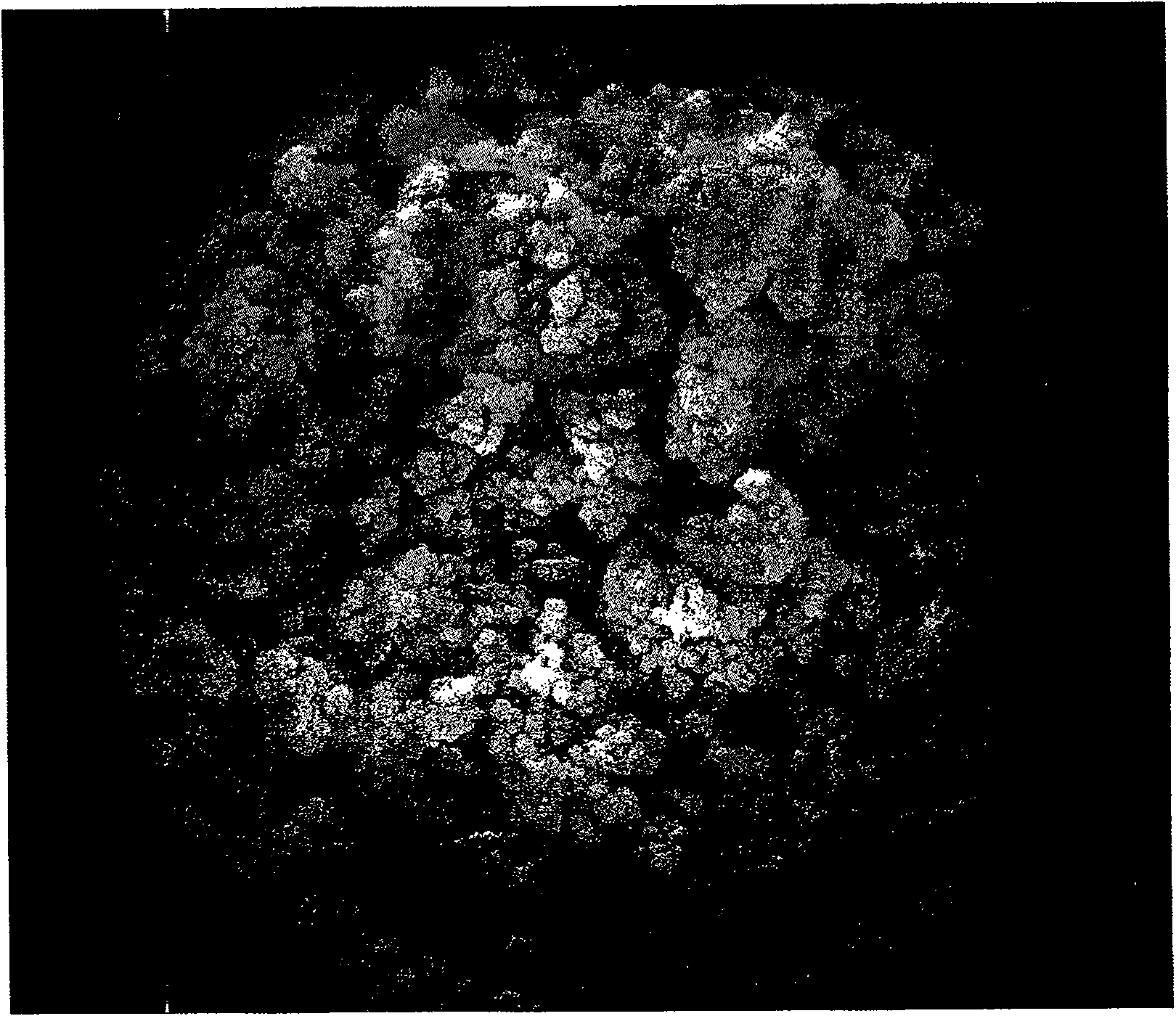 Acrylate polymer capillary vessel electric chromatogram monolithic column modified by macrocyclic polyamines and preparation thereof