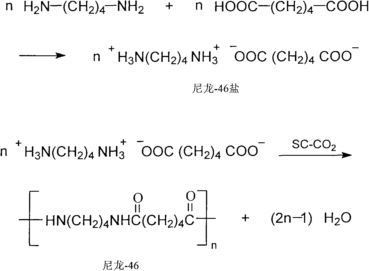 Method for preparing nylon-46 in supercritical carbon dioxide