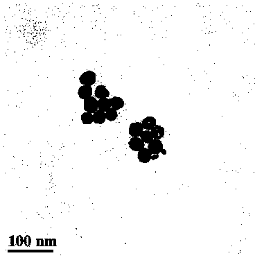 A noble metal nanocrystal with tunable plasmon resonance absorption characteristics in visible band and preparation method thereof