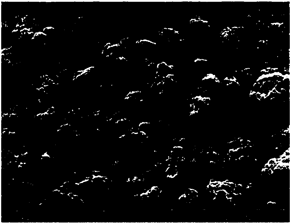 Method for preparing copper metal nanopowder having uniform oxygen passivation layer by using thermal plasma, and apparatus for preparing same