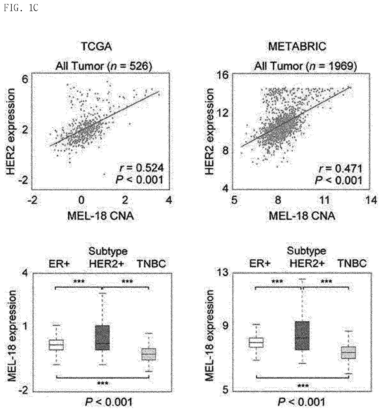 Biomarker for her2-positive cancer and Anti-her2 therapy and applications thereof