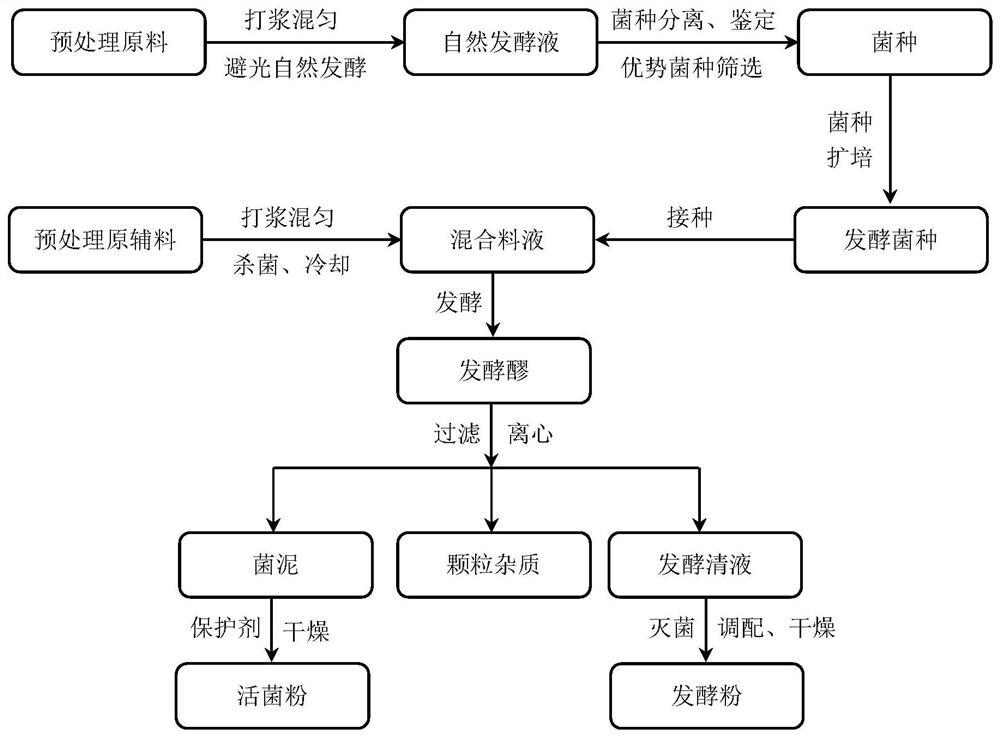 Lycium ruthenicum composite microecological preparation product and preparation method thereof