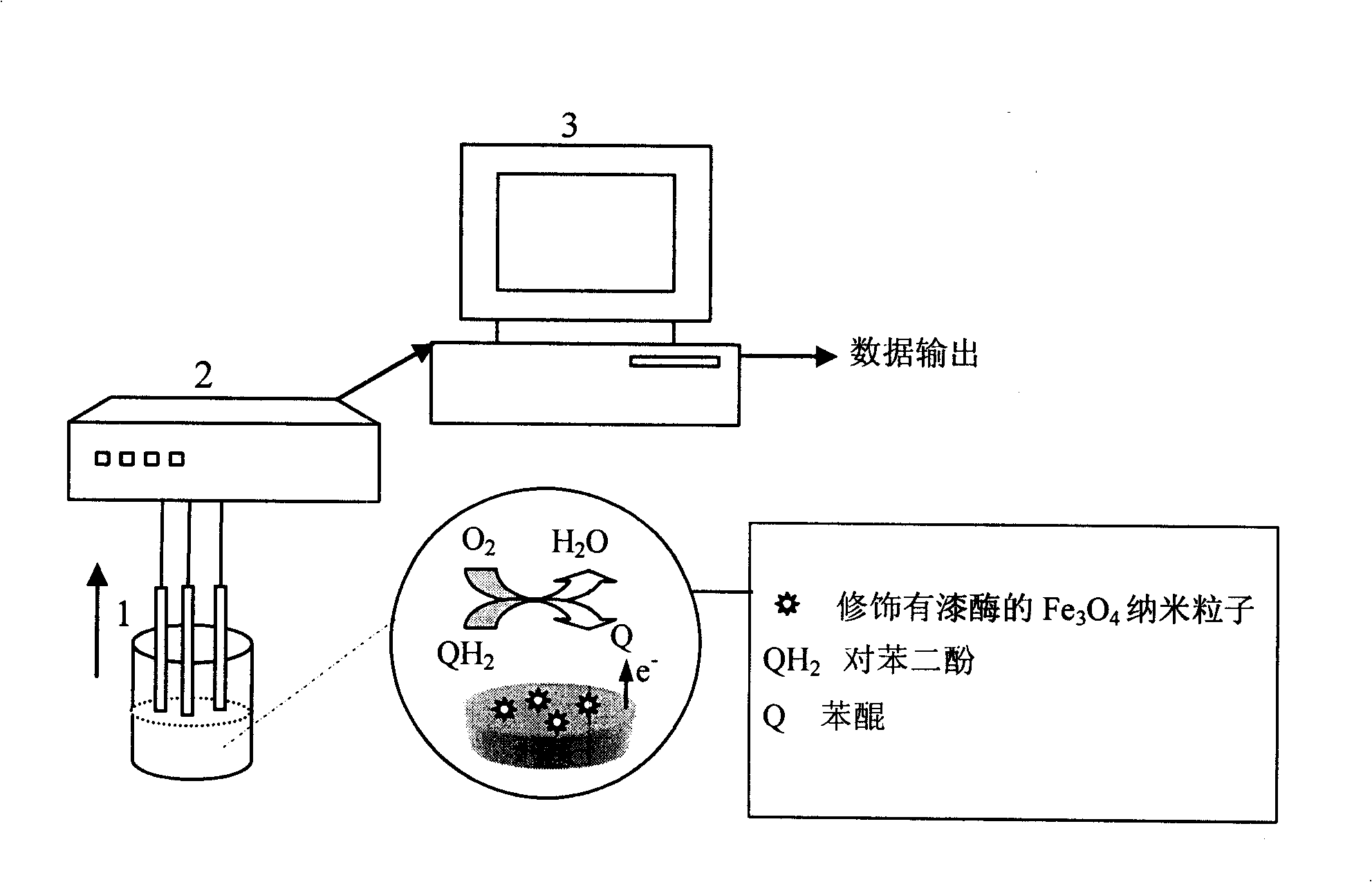 On-line detection method and detection system of hydroquinone in stockpile manure