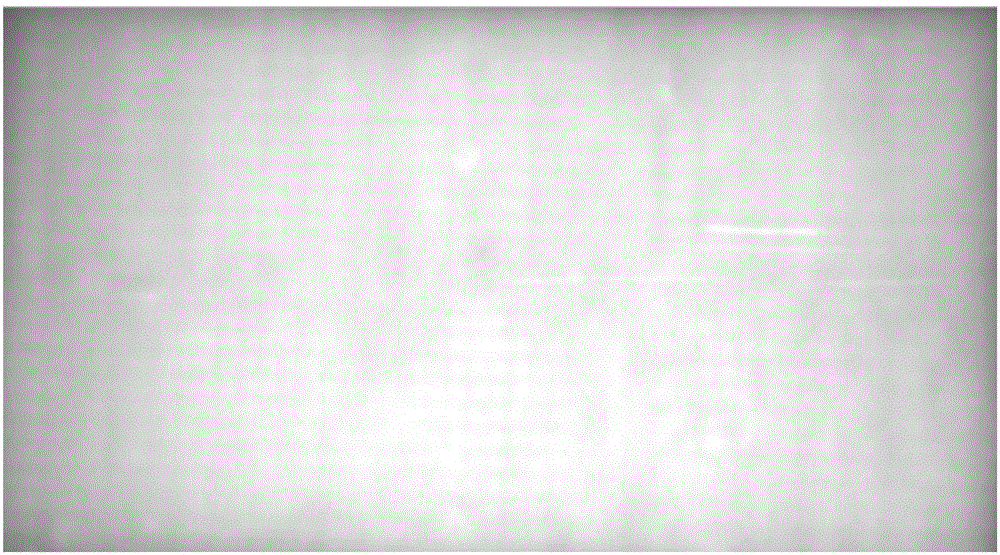 Display screen uniformity test method and system