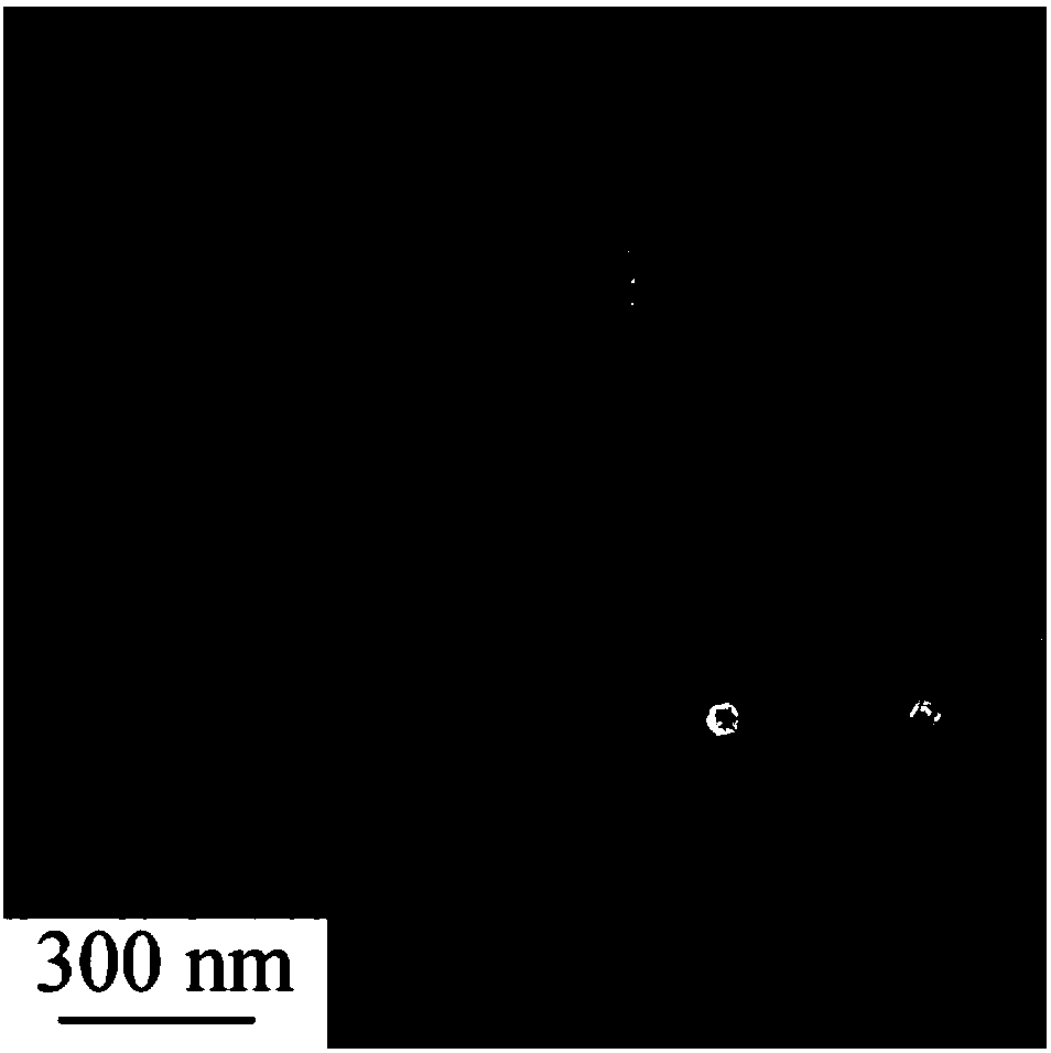 Titanium dioxide nanorod film with high photocatalysis efficiency and preparation method thereof