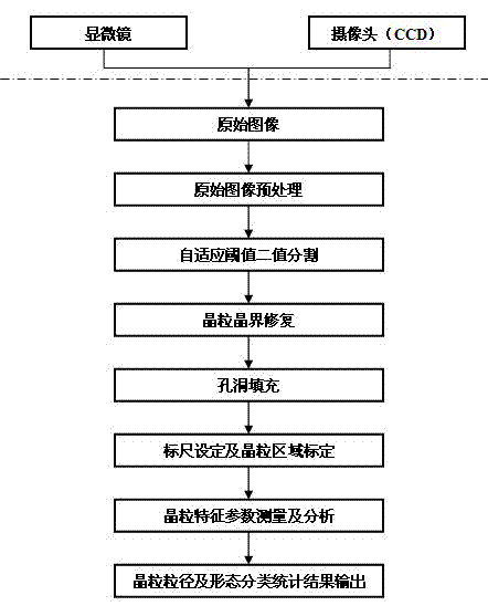 Method for automatic measurement and morphological classification statistic of ultra-fine grain steel grains