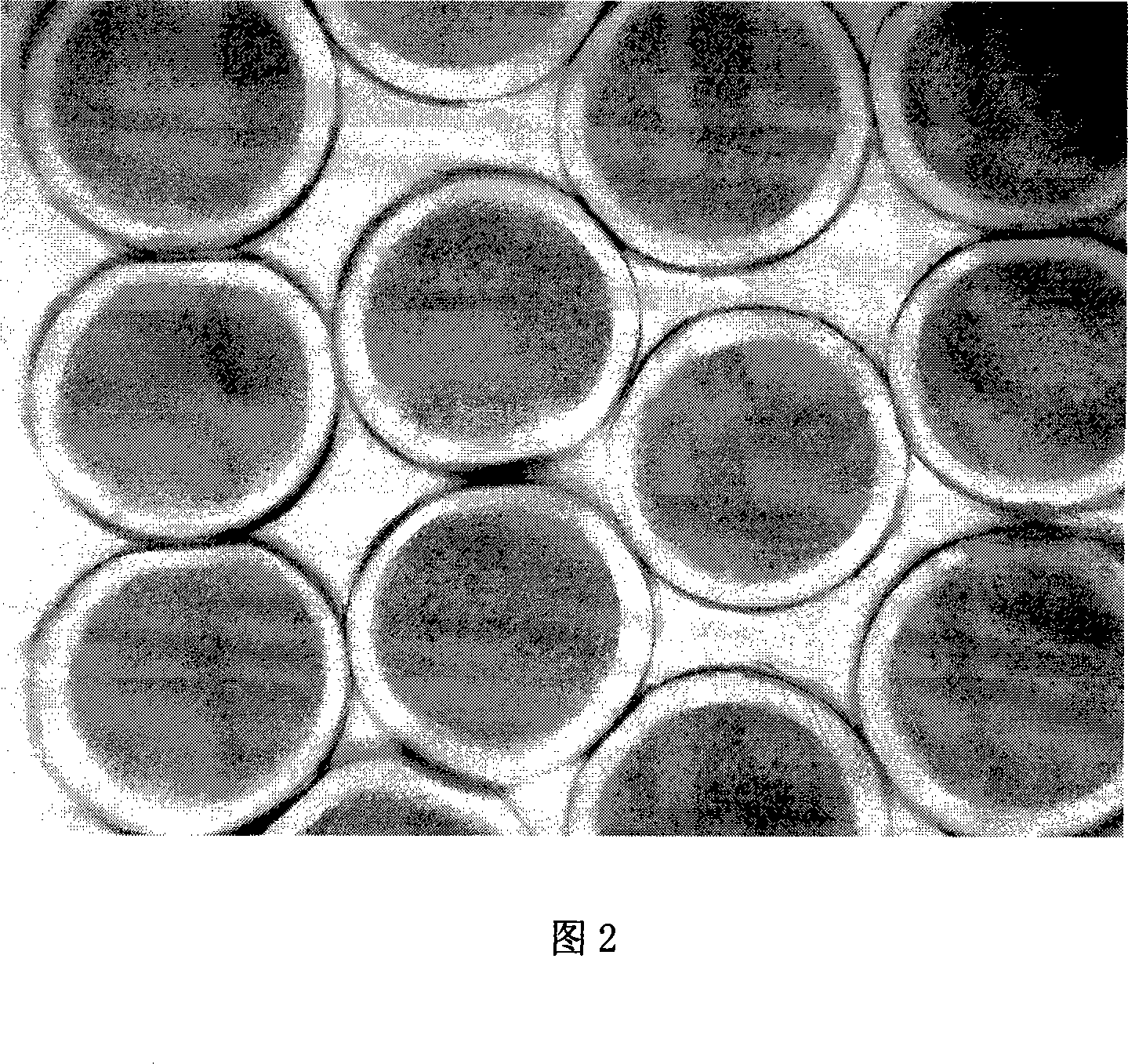 Polyphenylene sulfide composite filament one-step method complete plant and production method