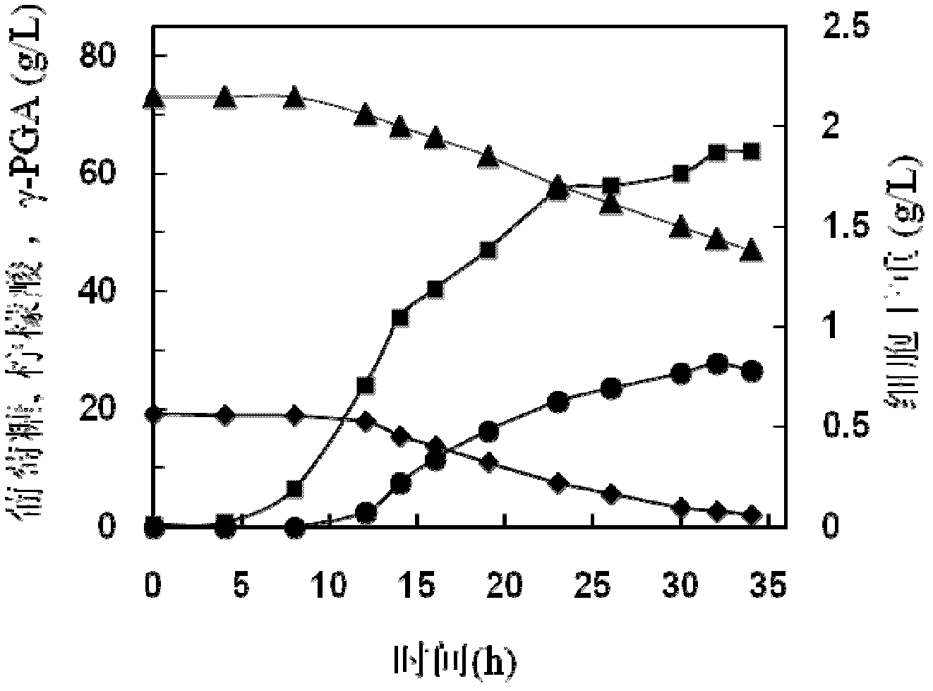 Non-dependent production method of gamma-polyglutamic acid from glutamic acid