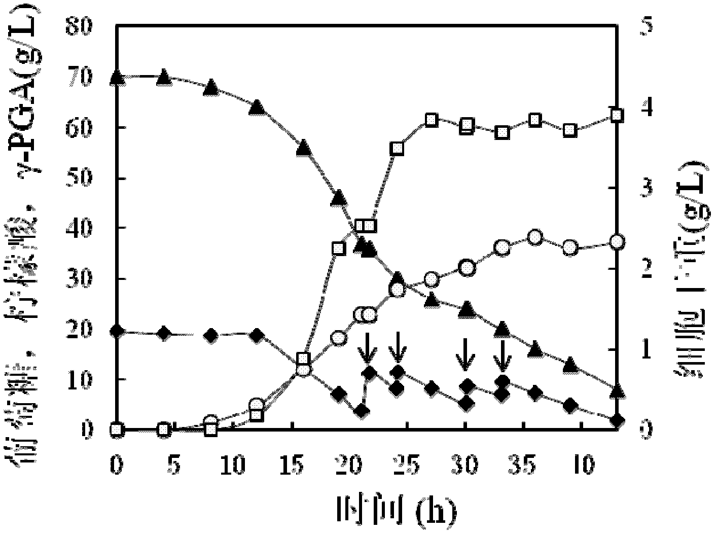 Non-dependent production method of gamma-polyglutamic acid from glutamic acid