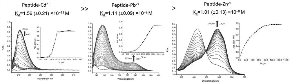 A kind of environmentally sensitive gel of cross-linked metalloprotein and its application