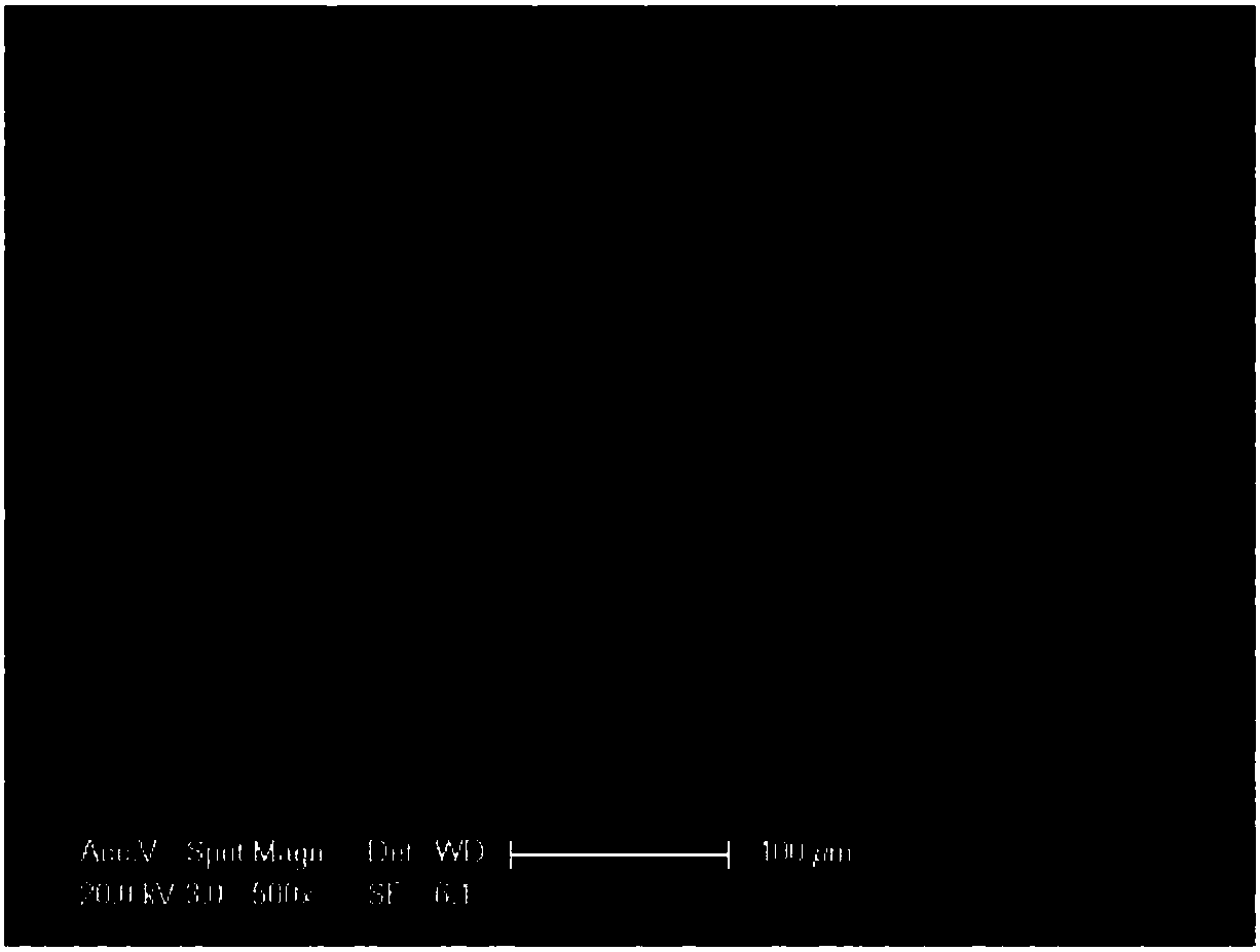 Superhydrophobic powder coating, and preparation method and application thereof