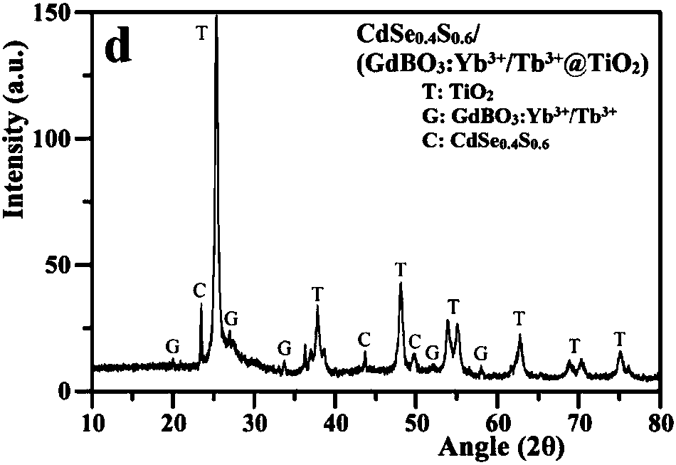 Bi-directional light conversion agent GdBO3:Yb&lt;3+&gt;/Tb&lt;3+&gt;-assisted photo-anode and preparation method and application thereof