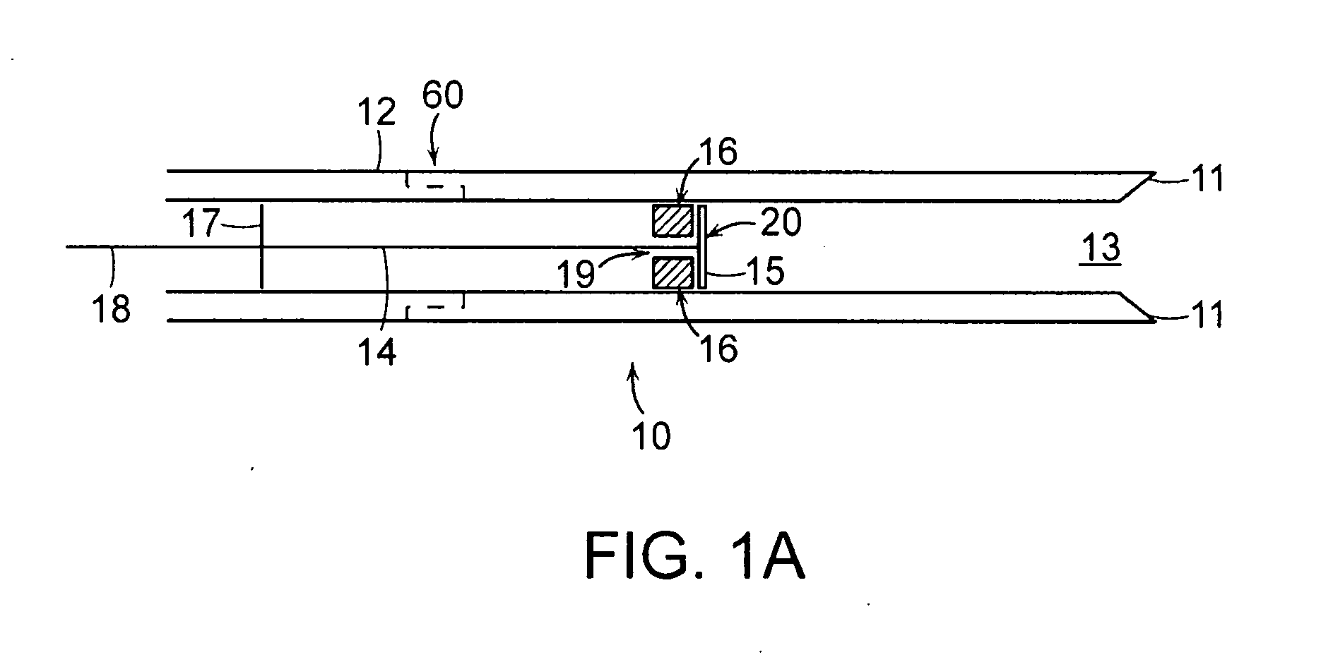 Devices and methods for tissue transplant and regeneration