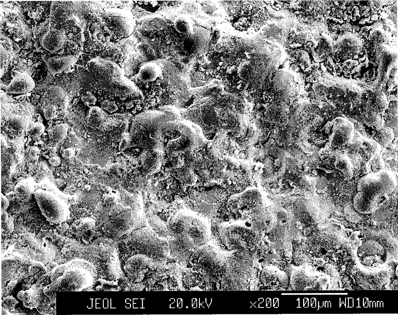 Zirconium oxide coating on aluminum alloy surface and method for producing the same