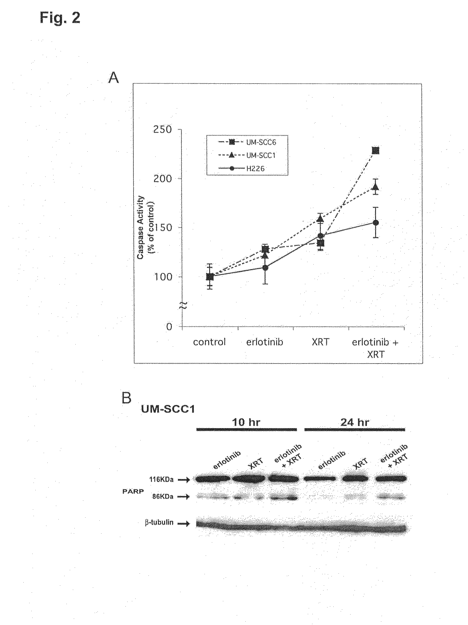 Combined treatment with radiation and an epidermal growth factor receptor kinase inhibitor