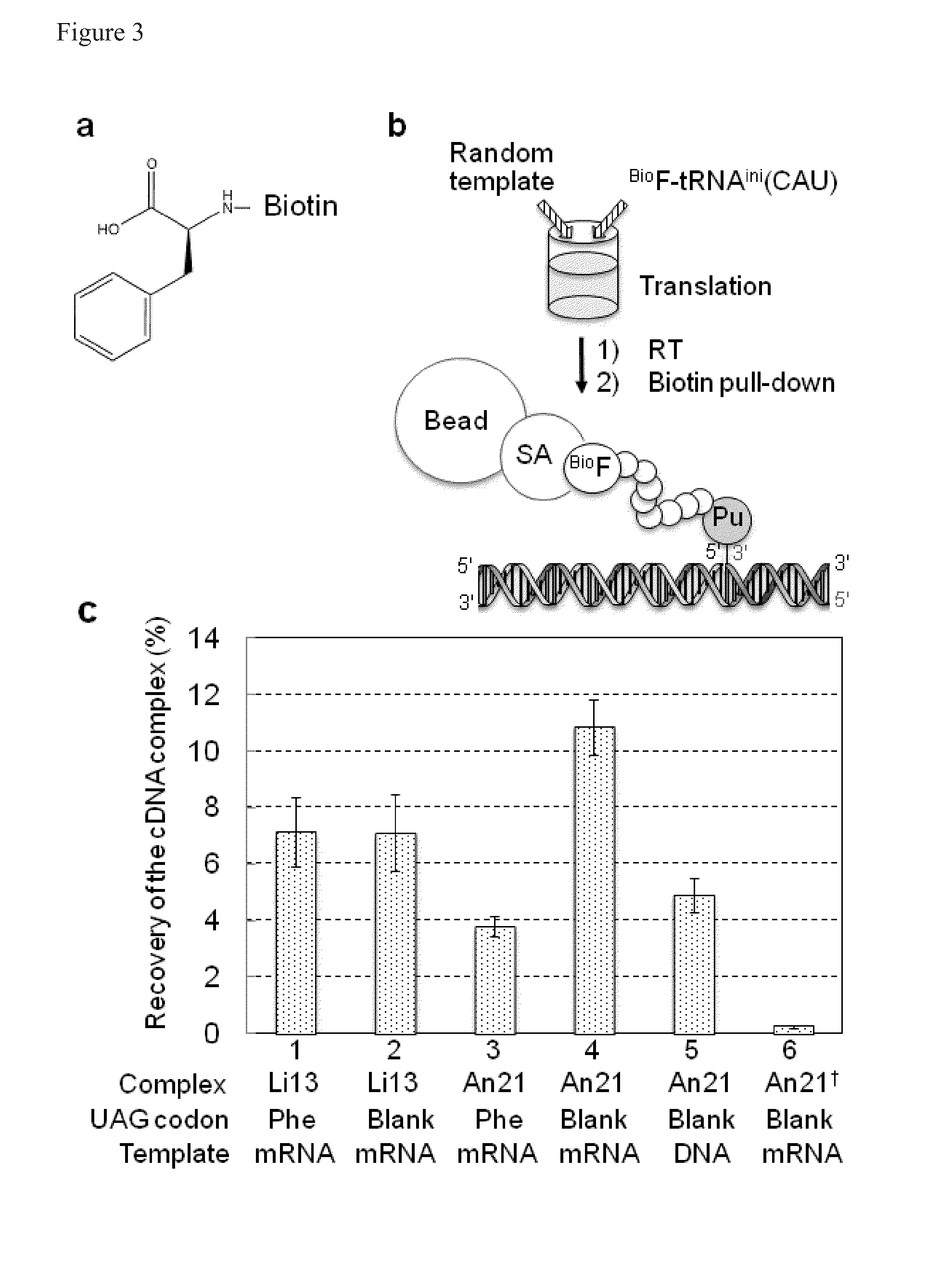 Flexible display method