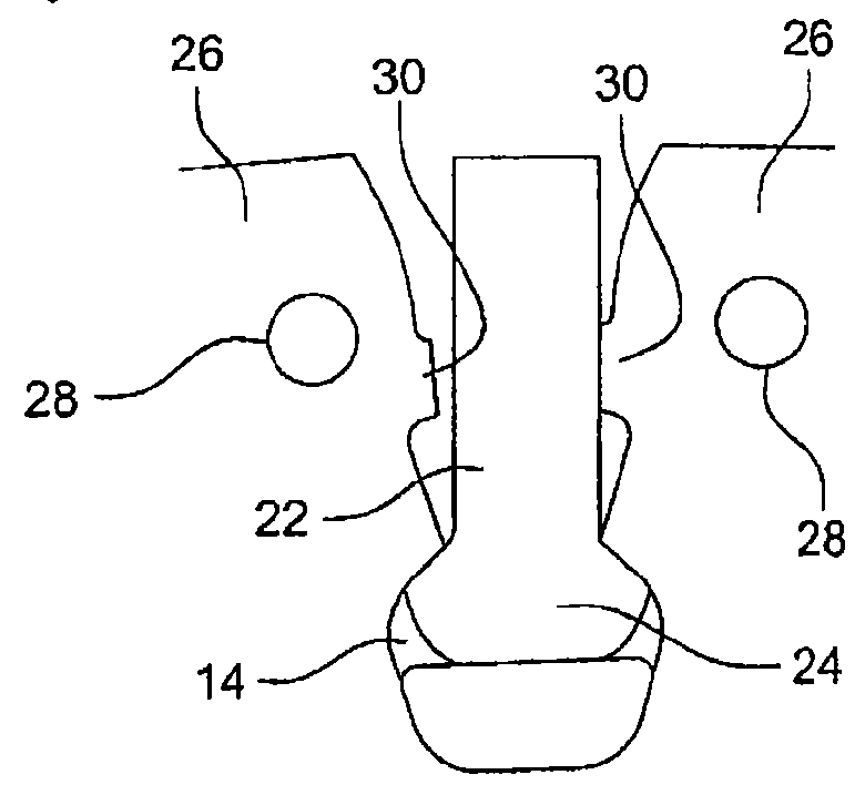 Turbine engine fan