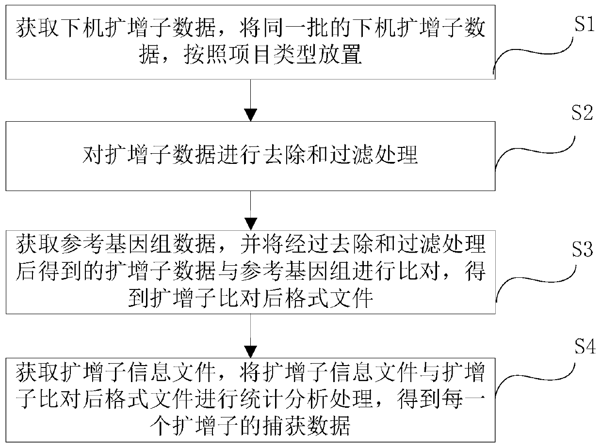 Amplicon data processing method, system and platform and storage medium