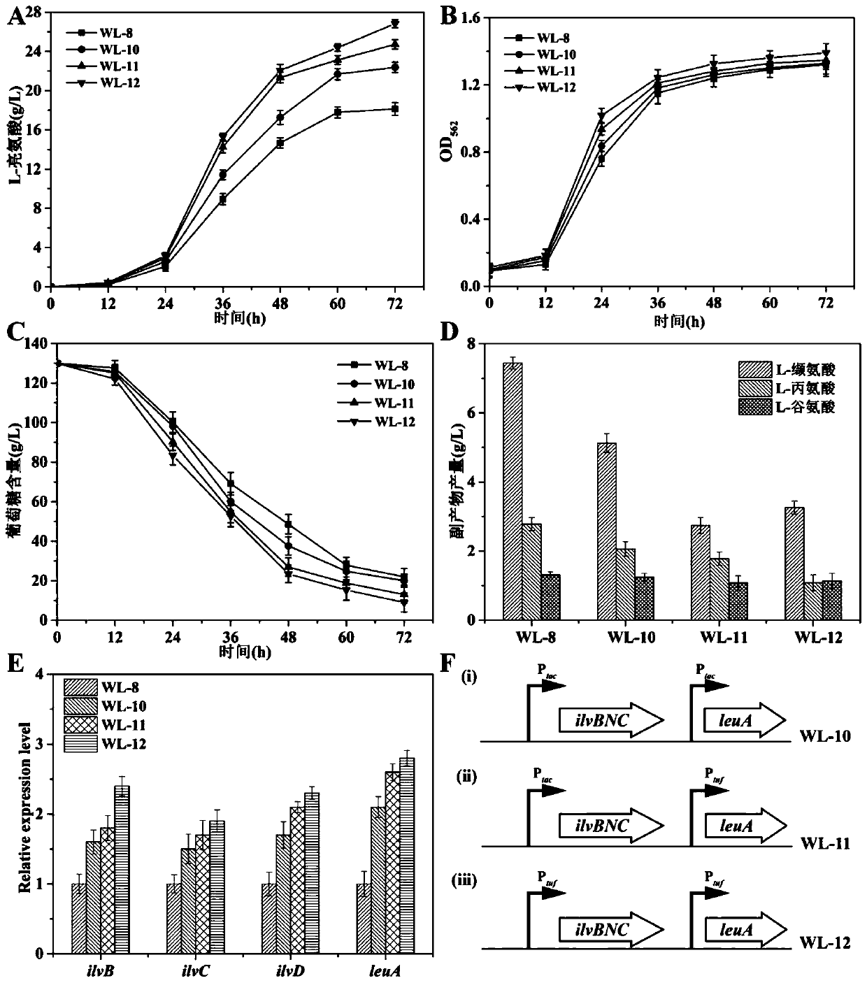 Recombinant corynebacterium glutamicum strengthening capability of synthesizing L-leucine from pyruvic acid and application of recombinant corynebacterium glutamicum