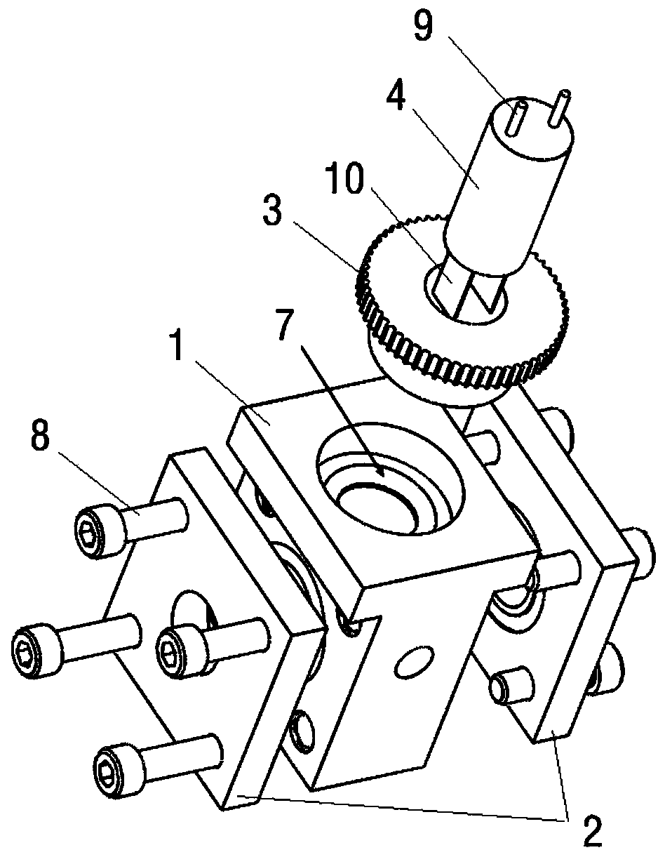 Device for in-situ observation of battery pole piece and electrolyte