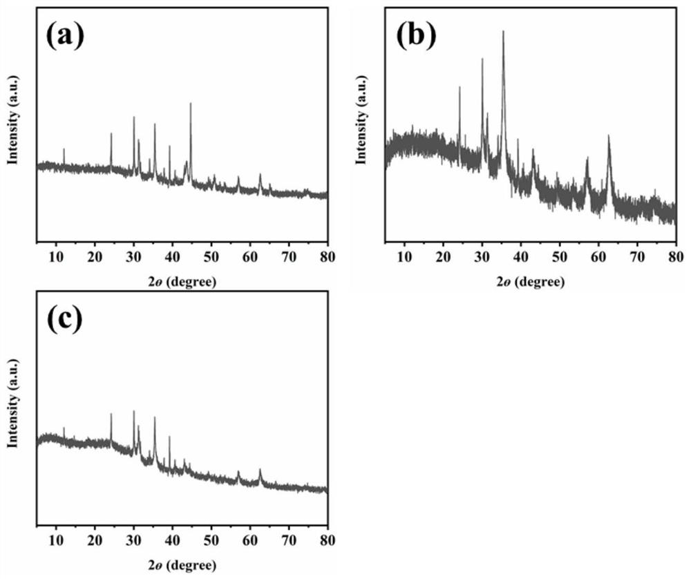 Preparation method and application of tremella derived carbon-based magnetic particle loaded wave-absorbing material