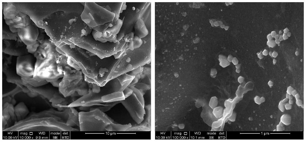 Preparation method and application of tremella derived carbon-based magnetic particle loaded wave-absorbing material