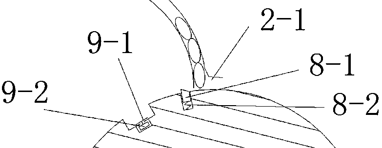 Betel nut loading supporting box device