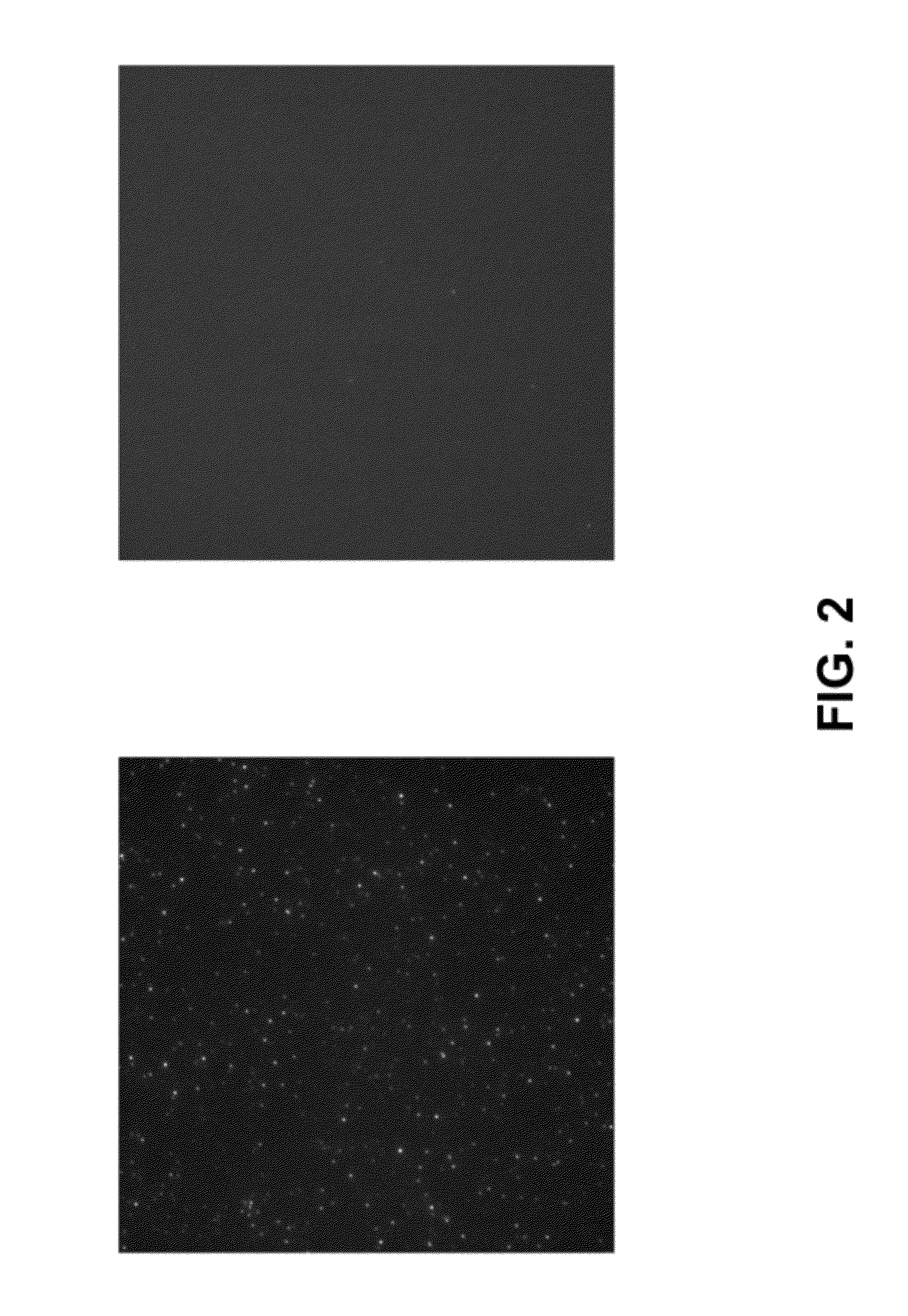 Surface Passivation Methods for Single Molecule Imaging of Biochemical Reactions