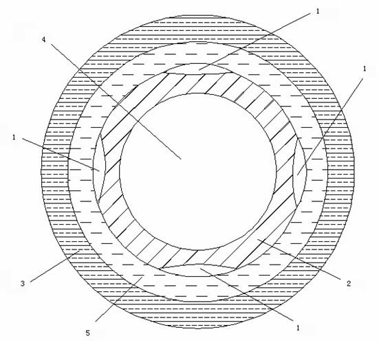 Nerve conduit and preparation method thereof