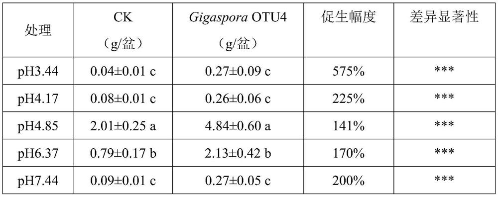 Growth-promoting strain screening method based on high-throughput sequencing and application of method