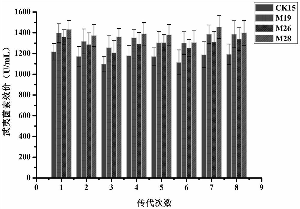 A Wuyiencin high-yielding strain, fermentation method and application