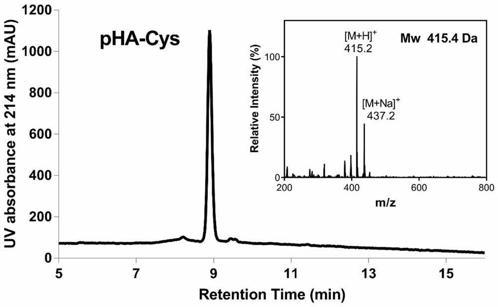 Targeted functional molecule modified antibody complex