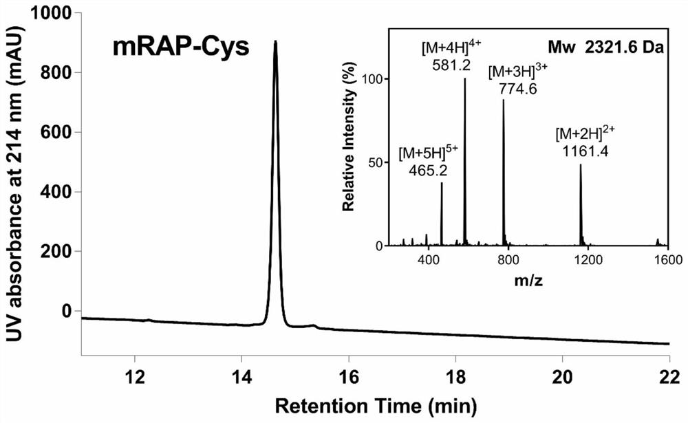 Targeted functional molecule modified antibody complex