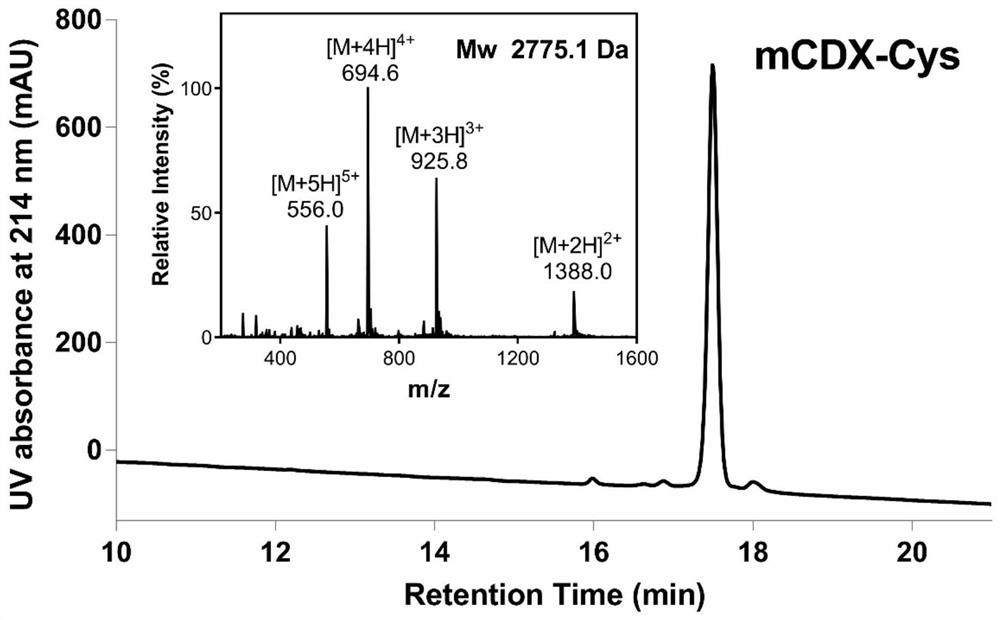 Targeted functional molecule modified antibody complex