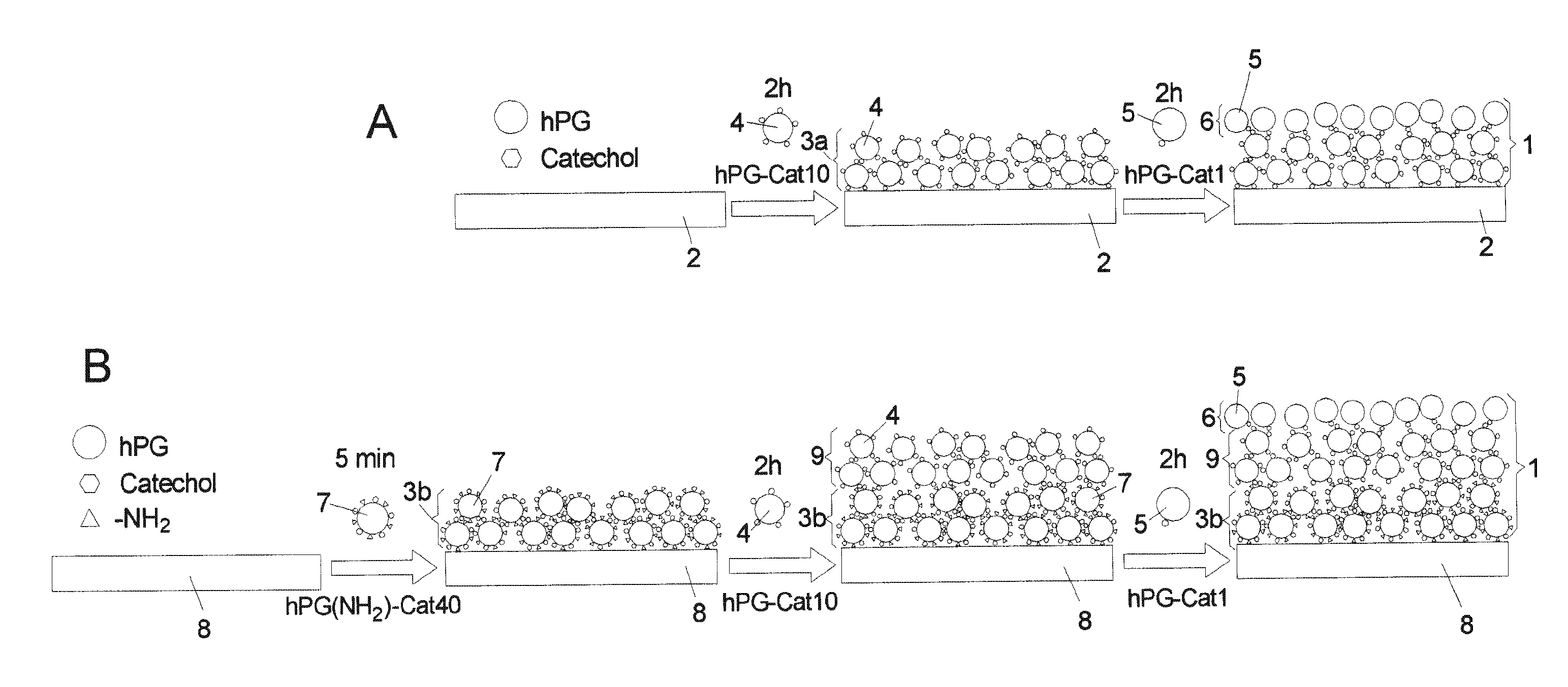 Bioinert article and its use