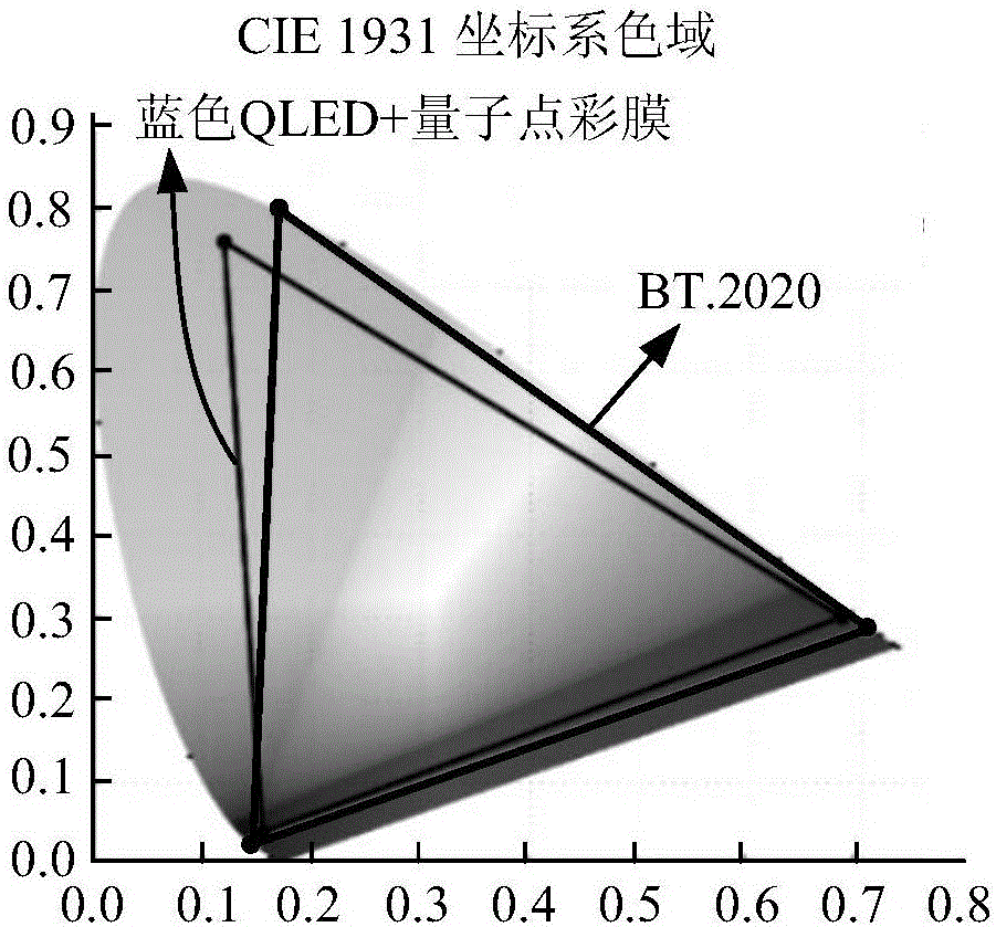 Color film substrate and display device