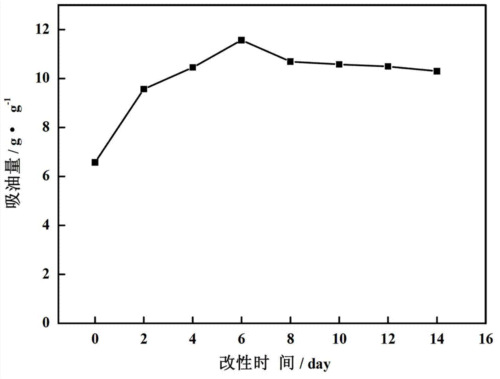 Polluted water body petroleum adsorbent and preparation method thereof