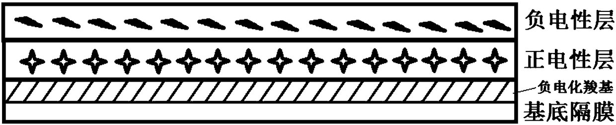 Carboxyl separator of additive self-assembly layer of lithium-sulfur battery and preparation method of carboxyl separator