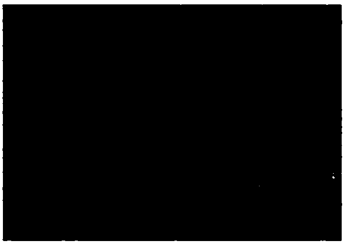 Carboxyl separator of additive self-assembly layer of lithium-sulfur battery and preparation method of carboxyl separator