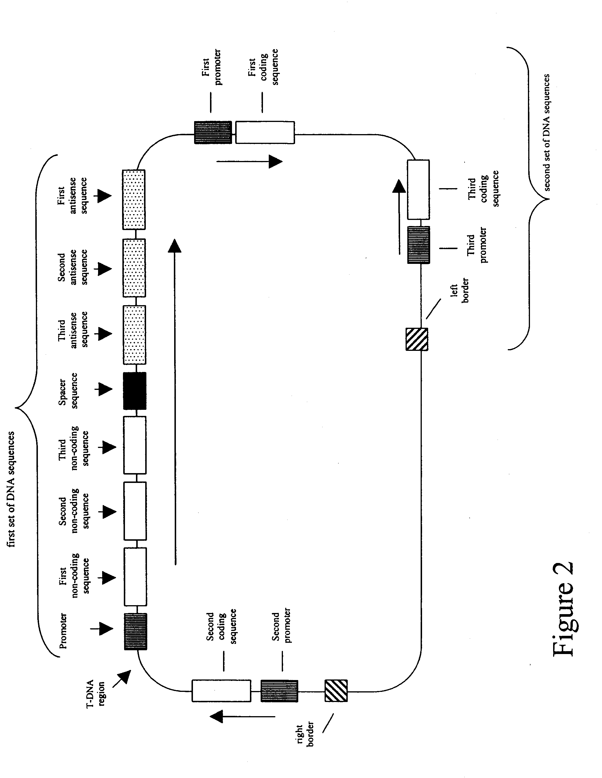 Nucleic acid constructs and methods for producing altered seed oil compositions