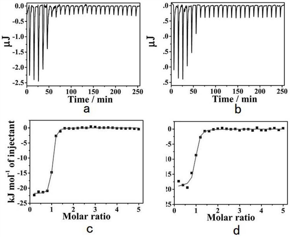 Sugar-modified metal helical complex, preparation method thereof and application of complex as amyloid protein degradation device